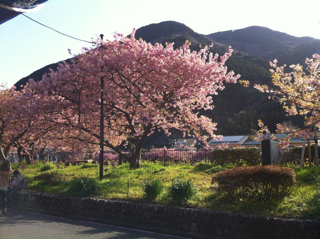 Hareya Hotel Shimoda  Esterno foto