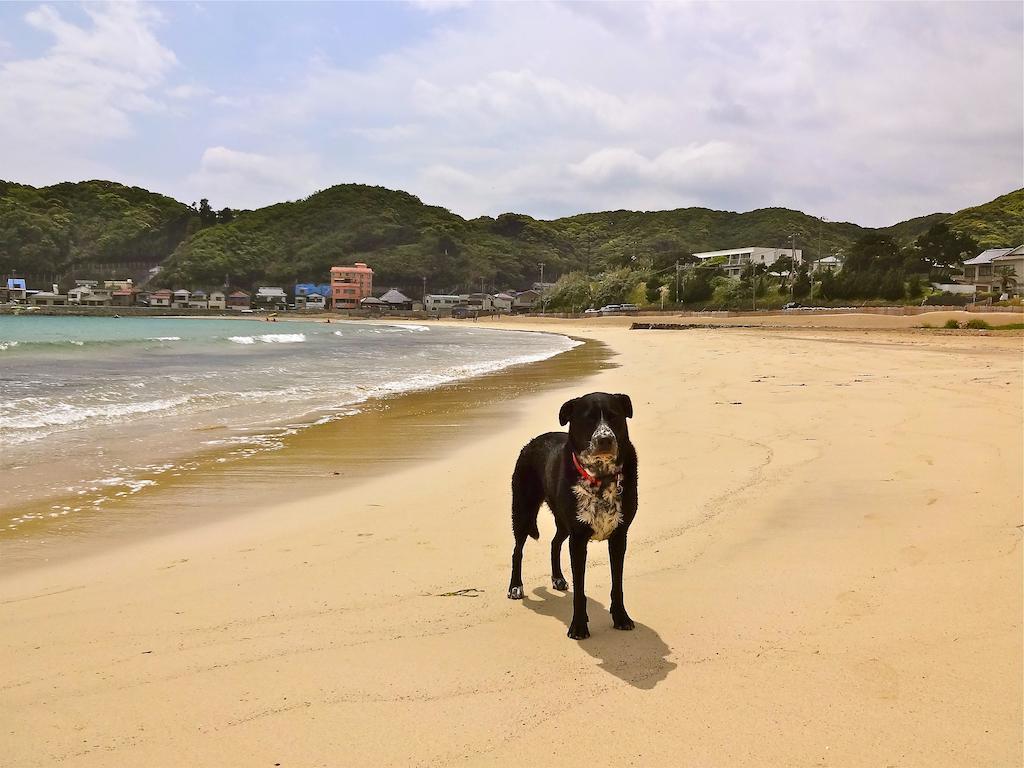 Hareya Hotel Shimoda  Esterno foto